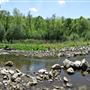 Crooks Hollow Conservation Area HCA