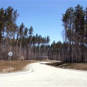 Maple Hill Estates Craighurst