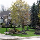 Briarose Avenue