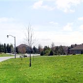 Charles Cooper Court