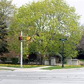 Ardwold Gate