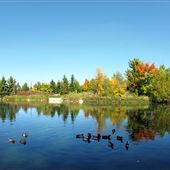 Milliken Park