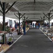 Hagersville Farmers Market