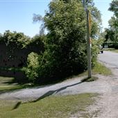 Island Grove