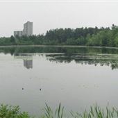 Mud Lake
