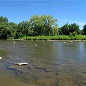 Home Smith Park