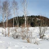 Rockcut Lake
