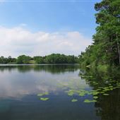 Pinehurst Lake Conservation Area
