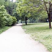 Roycroft Park