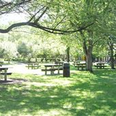Vincent Massey Park
