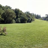 Windfields Park