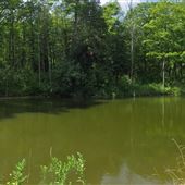 Esquesing Conservation Area - HRCA/CH