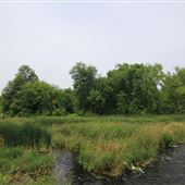 King's Mill Conservation Area