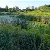 D'Hillier Park