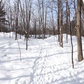 The Greenbelt