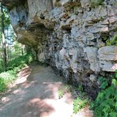 Cave Springs Conservation Area NPCA