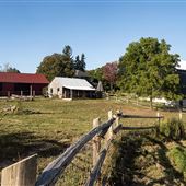 The Luna Homestead