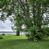 Shoreview Park