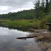 Four Corners Algonquin