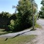 Island Grove