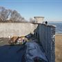 Kingston Penitentiary