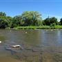 Home Smith Park