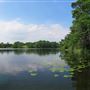 Pinehurst Lake Conservation Area
