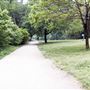 Roycroft Park
