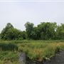 King's Mill Conservation Area