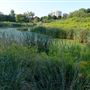 D'Hillier Park