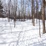 The Greenbelt