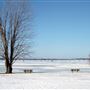 Callander Waterfront Park