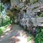 Cave Springs Conservation Area NPCA