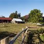 The Luna Homestead