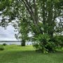 Shoreview Park