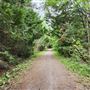 Uhthoff Trail