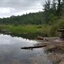 Four Corners Algonquin