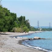 Confederation Park Beach HCA