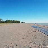 Erieau