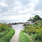 Humber Bay Park East
