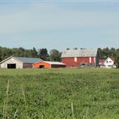 Sunnynook Art Farm
