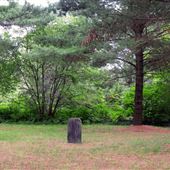 Seguin Falls Pioneer Cemetery