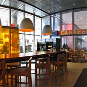 Canteen - TIFF Bell Lightbox