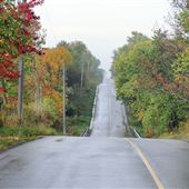 King Vaughan Road
