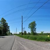Reesor Road between Old Finch Ave and Steeles Ave E