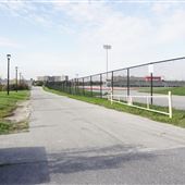 York University Alumni Field