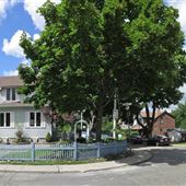 Lyall Avenue