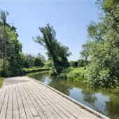 Coldwater Boat Launch/Dock