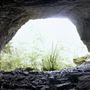 Bruce's Caves Conservation Area