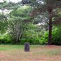 Seguin Falls Pioneer Cemetery